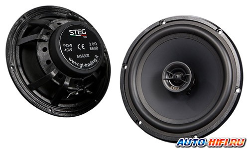 2-полосная коаксиальная акустика Steg MS650II