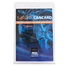 CAN-модуль Saturn CANCARD