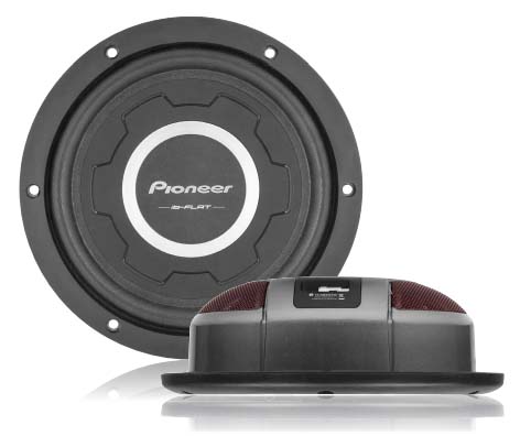 Сабвуферы калибра 10 дюймов. Pioneer TS-SW2501S4