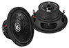 Сабвуферный динамик DLS PE10.D2 Сабвуферный динамик DLS PE10.D2