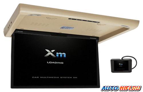 Потолочный монитор Ergo XM-1760RDUD бежевый